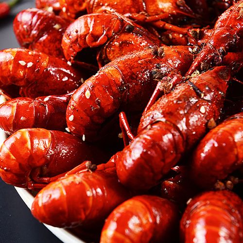 2025年龙虾价格走势-图2 2025年龙虾价格走势-图2