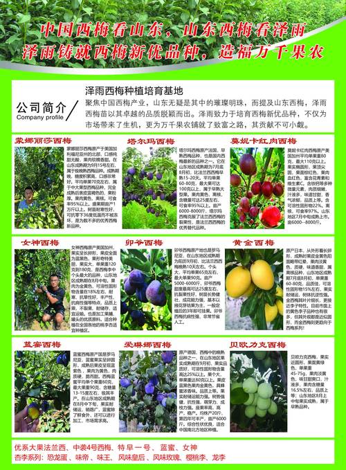 亩产2万收益的种植品种是什么?-图1 亩产2万收益的种植品种是什么?-图1