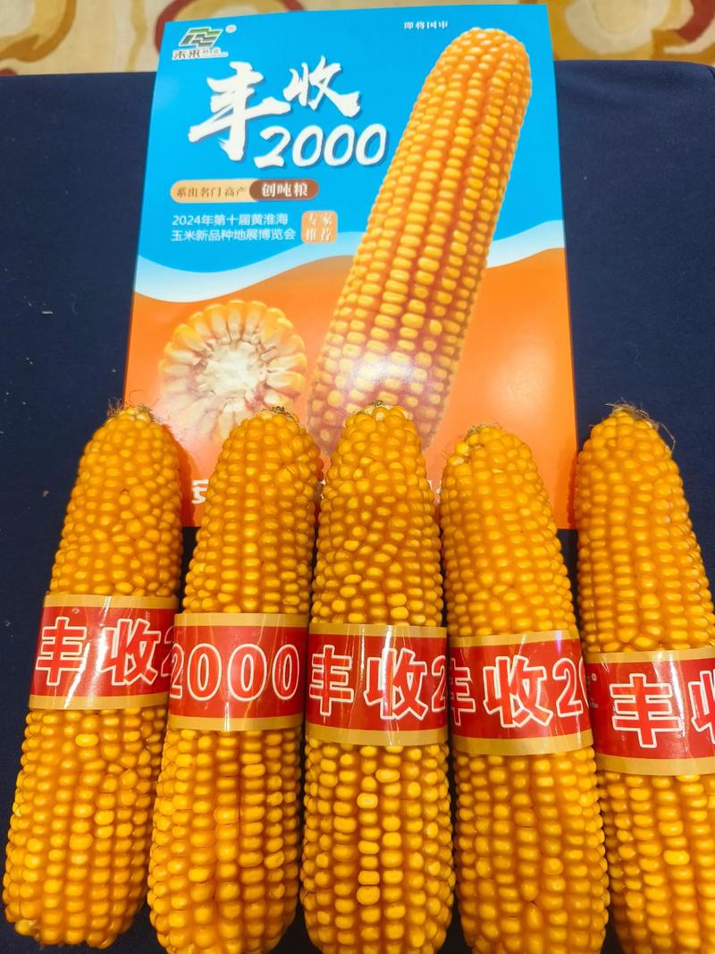 亩产2万收益的种植品种是什么?-图3 亩产2万收益的种植品种是什么?-图3