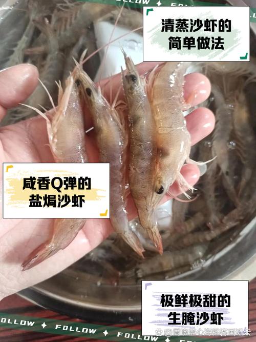 清虾和沙虾是同一品种吗？-图2