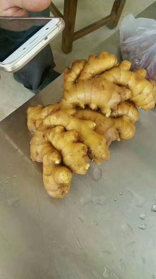 2025年莱芜姜价会涨还是会跌？-图3