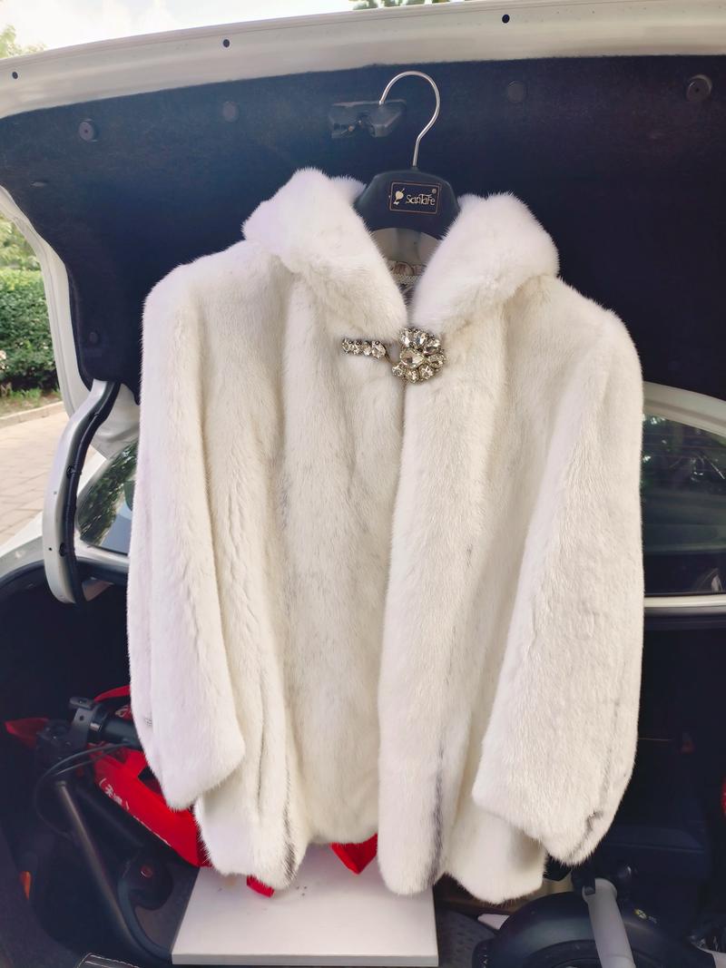 2025年貂皮价格会涨还是会跌?-图3 2025年貂皮价格会涨还是会跌?-图3