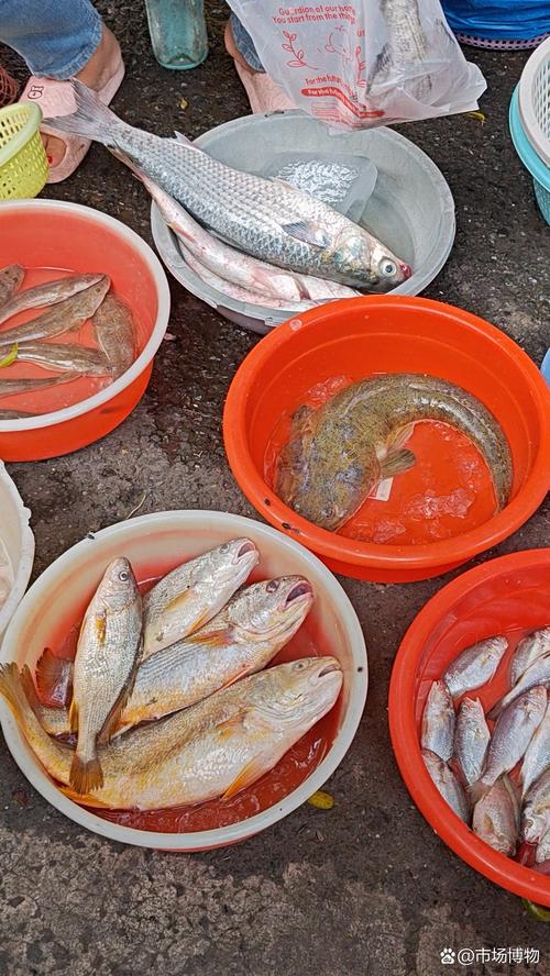 广东水产品出口主打哪些品种？-图1