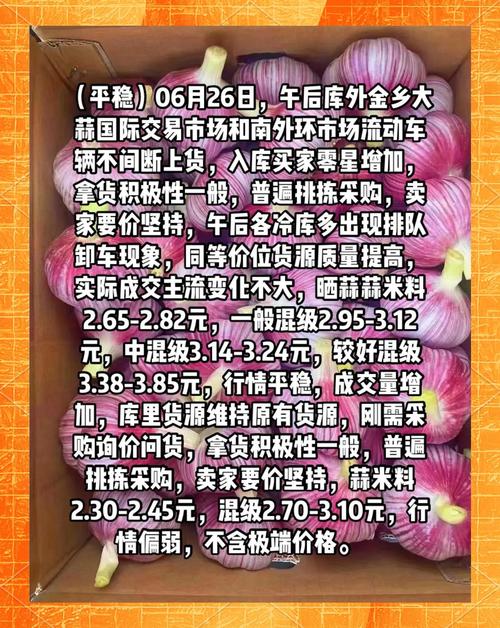 2025年新鲜大蒜价格-图2 2025年新鲜大蒜价格-图2