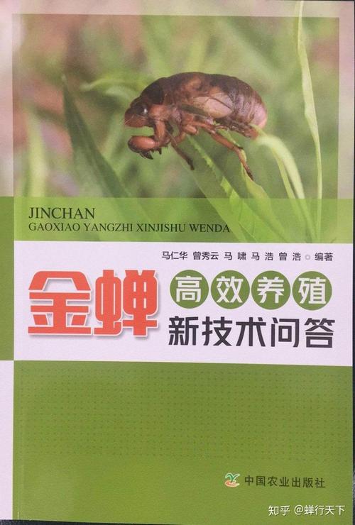 金蝉养殖技术大全，新手如何快速入门？-图3