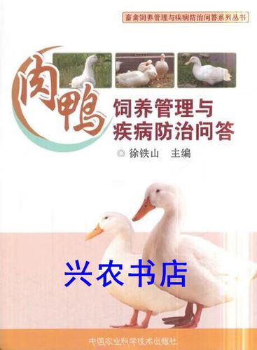 今年大棚肉鸭养殖技术-图3