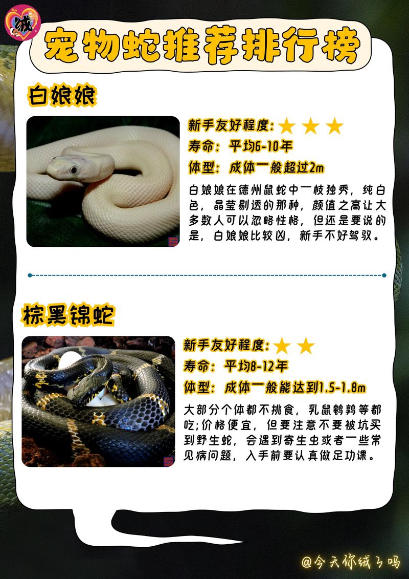 蛇的品种不同价格差异有多大?-图3 蛇的品种不同价格差异有多大?-图3