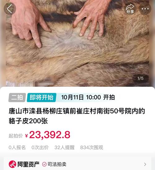 2025貉子皮出口价格将如何变动？-图1