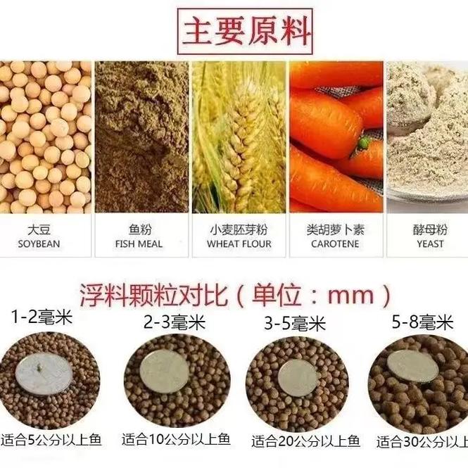 水产鱼饲料膨化技术如何提升饲料品质？-图3