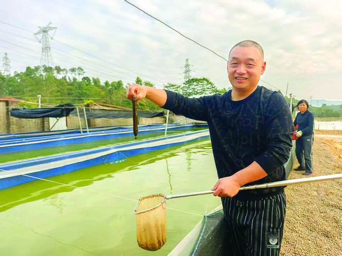 鱼鳅养殖技术视频讲座有哪些关键要点？-图1