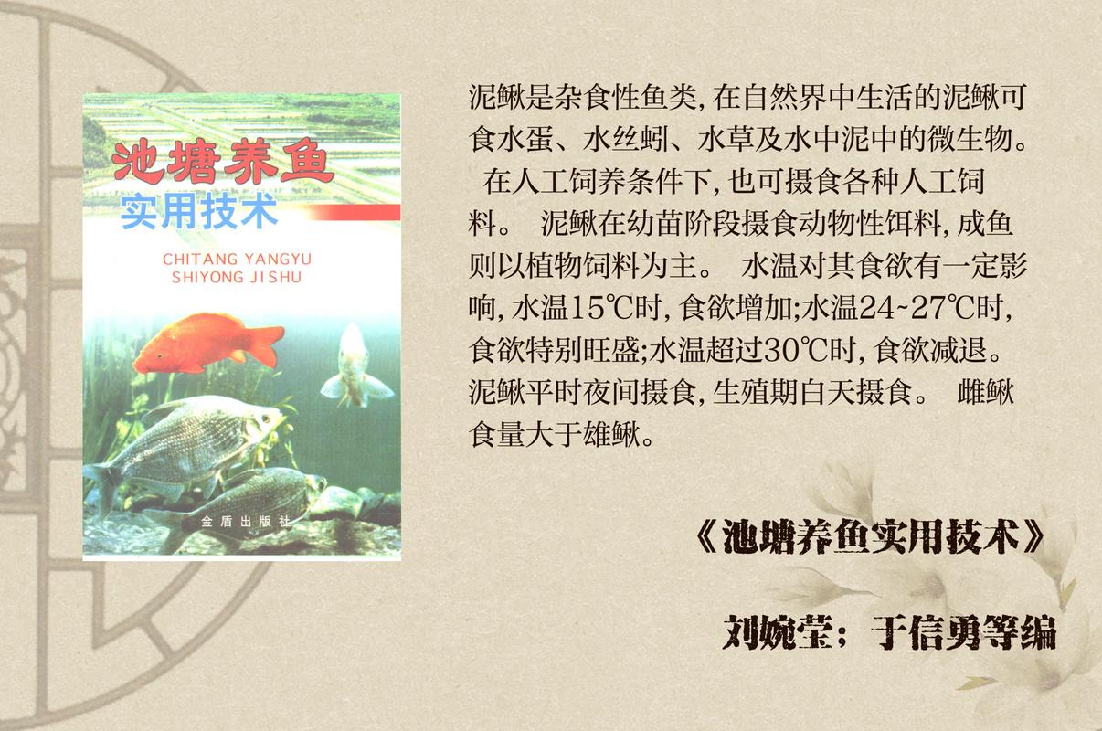 鱼鳅养殖技术视频讲座有哪些关键要点？-图2
