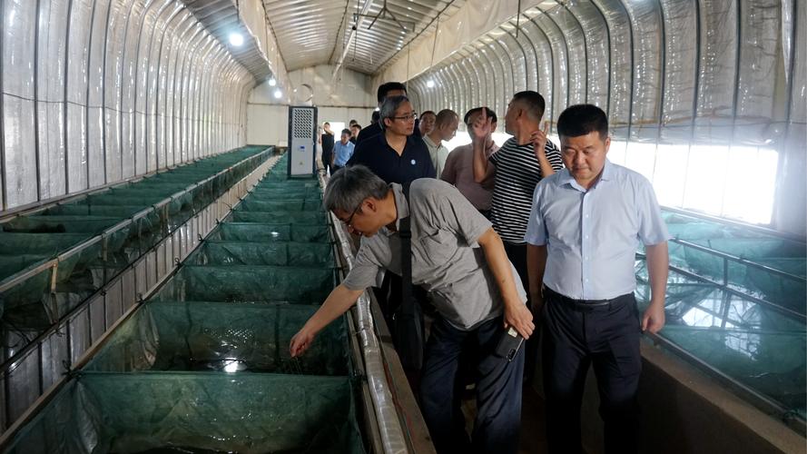 鱼鳅养殖技术视频讲座有哪些关键要点？-图3