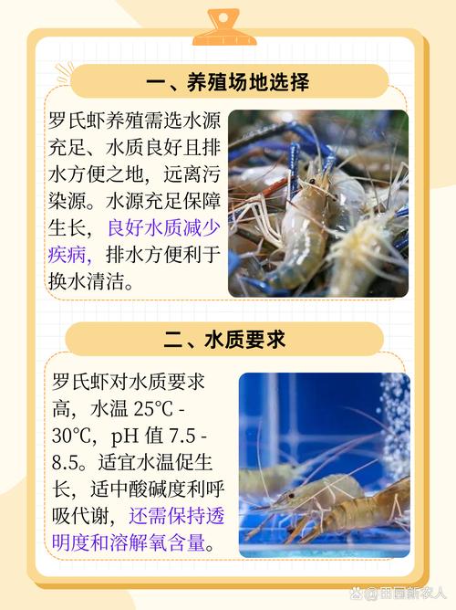 养殖大虾技术视频教程,新手能学会吗?-图1 养殖大虾技术视频教程,新手能学会吗?-图1