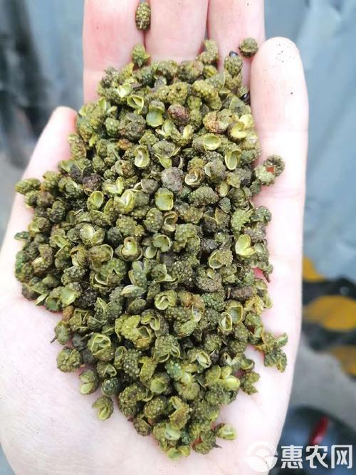 2025年云南青花椒价格会涨还是跌？-图3