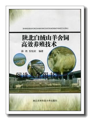 陕北白绒山羊养殖技术有哪些关键要点？-图1