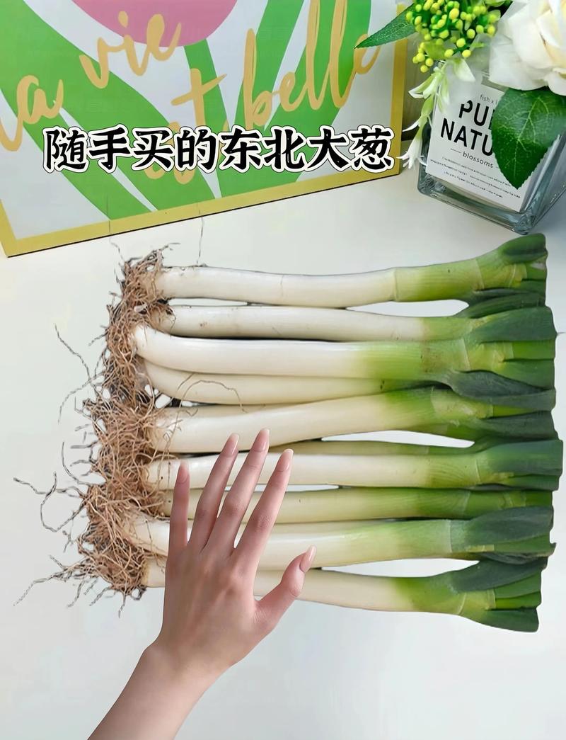 大葱2025年价格会涨还是会跌？-图2