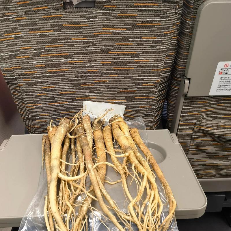 2025年桔梗价格会涨还是跌?-图1 2025年桔梗价格会涨还是跌?-图1