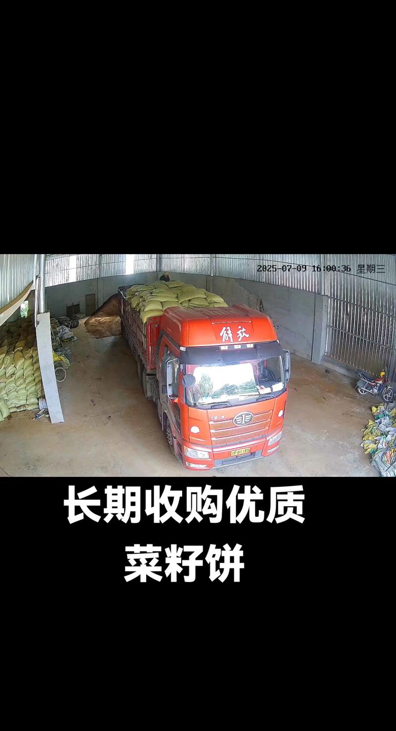 2025菜籽饼最新价格多少钱一斤？-图2