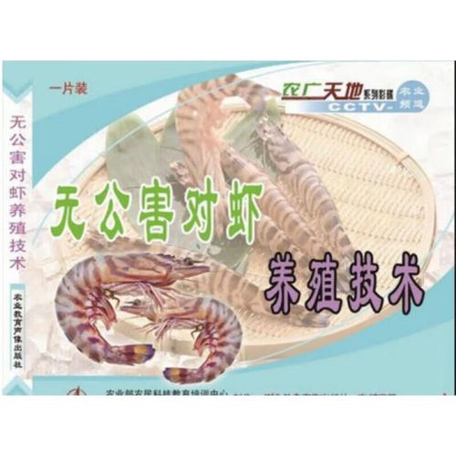 斑节对虾分段养殖技术如何高效应用？-图2