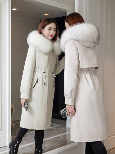 2025年獭兔今日价格多少钱一斤?-图3 2025年獭兔今日价格多少钱一斤?-图3