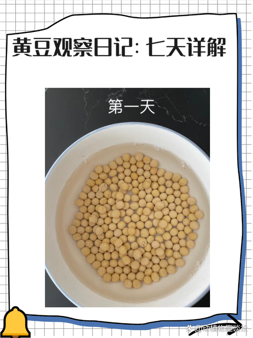 安徽早黄豆高产种植技术有哪些关键要点？-图2