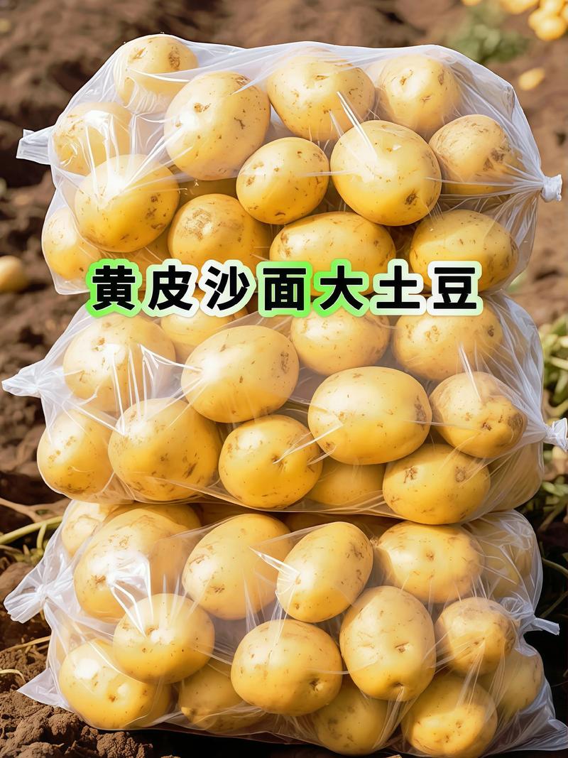 2025年云南土豆价格会涨还是跌?-图2 2025年云南土豆价格会涨还是跌?-图2