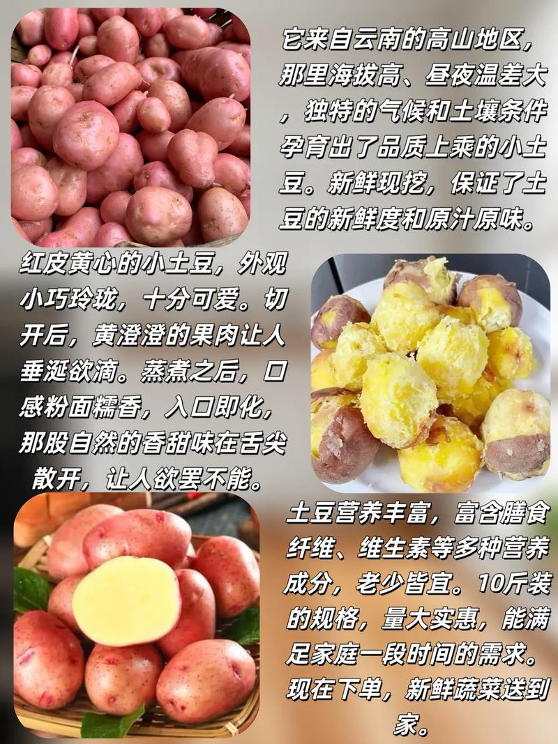 2025年云南土豆价格会涨还是跌?-图3 2025年云南土豆价格会涨还是跌?-图3