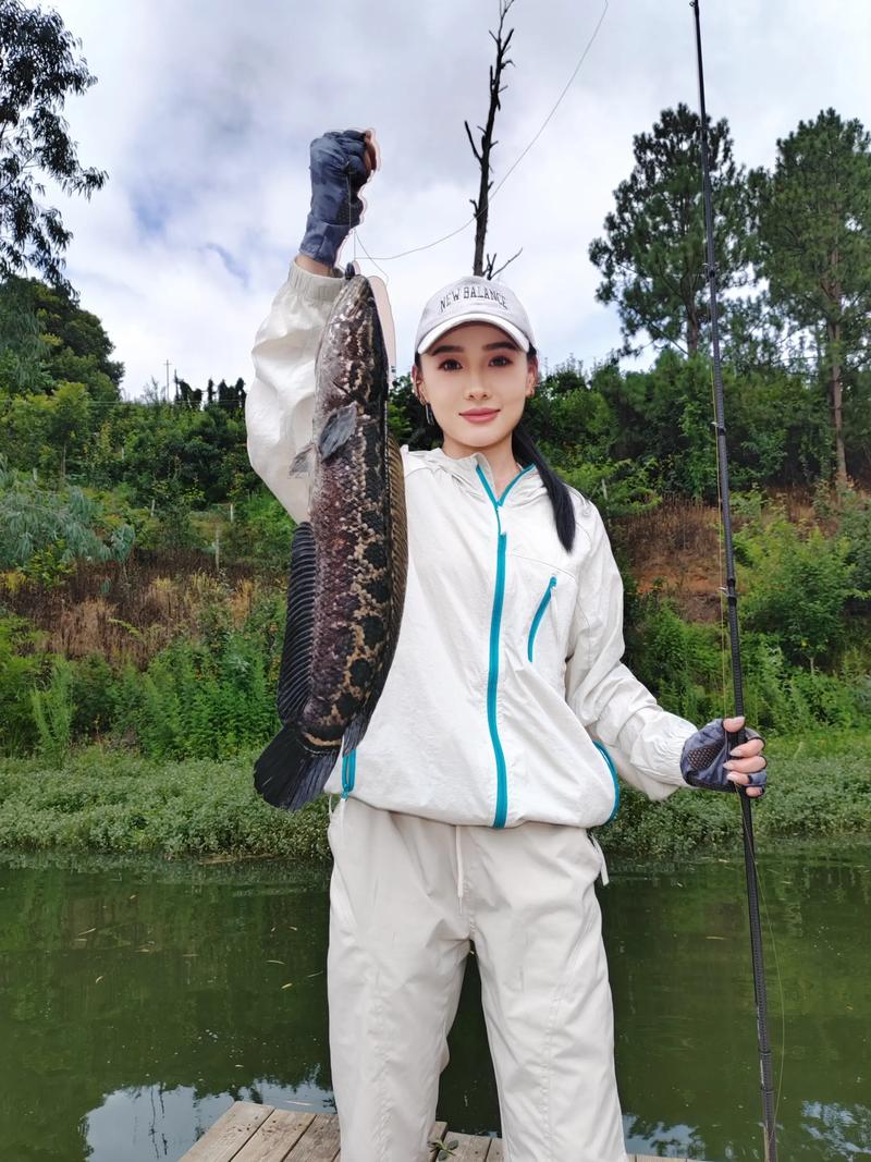 2025年黑鱼价格会涨还是跌?-图1 2025年黑鱼价格会涨还是跌?-图1