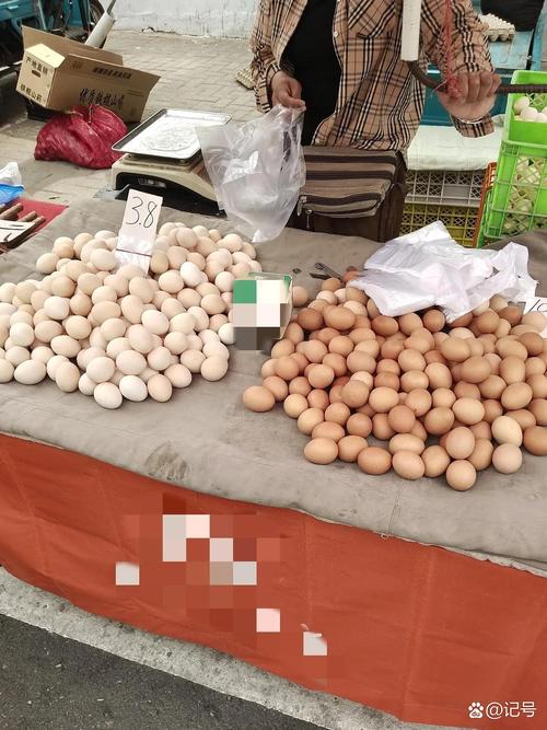 回龙观鸡蛋价格近期有何波动?-图2 回龙观鸡蛋价格近期有何波动?-图2
