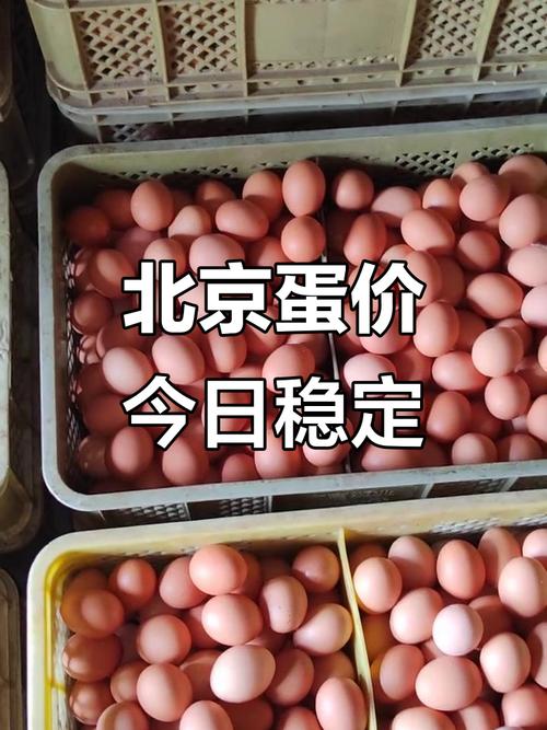 回龙观鸡蛋价格近期有何波动?-图3 回龙观鸡蛋价格近期有何波动?-图3