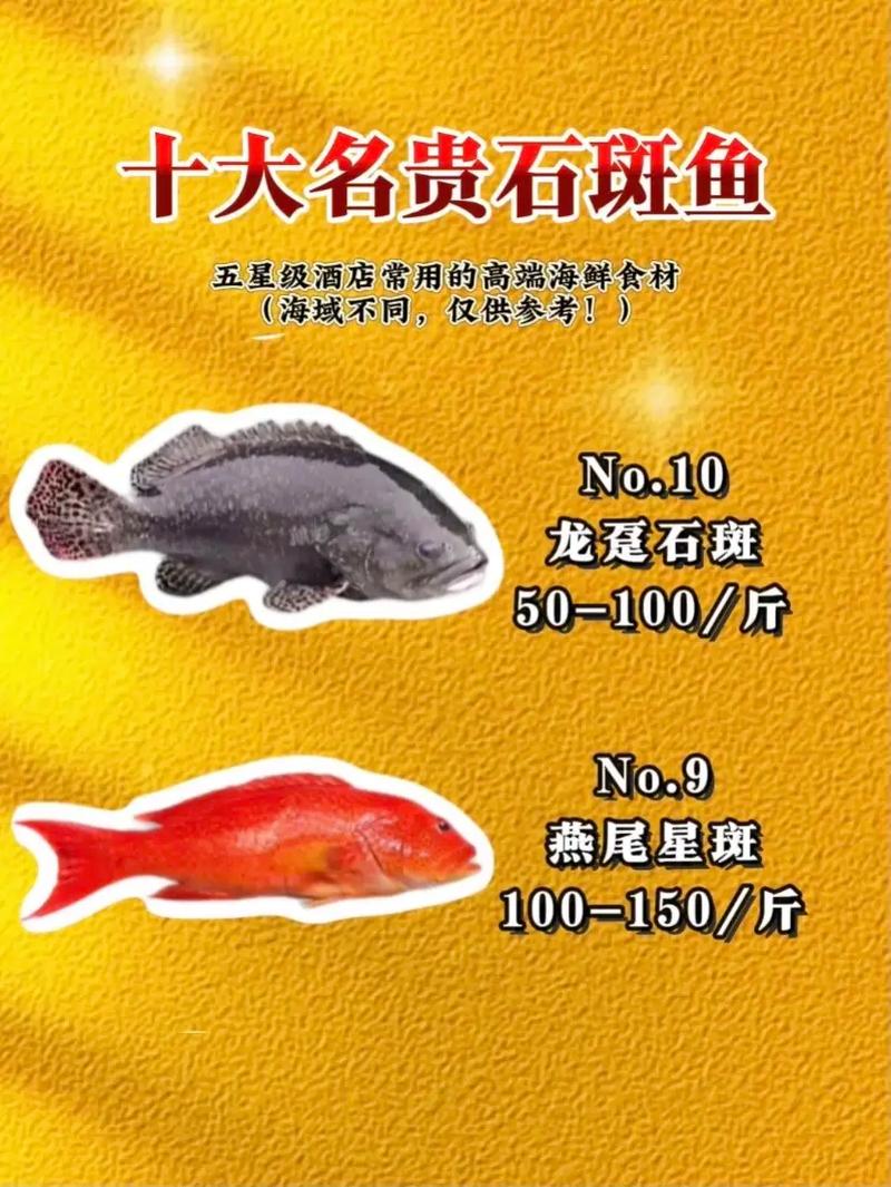 石斑鱼具体吃哪些品种?-图3 石斑鱼具体吃哪些品种?-图3