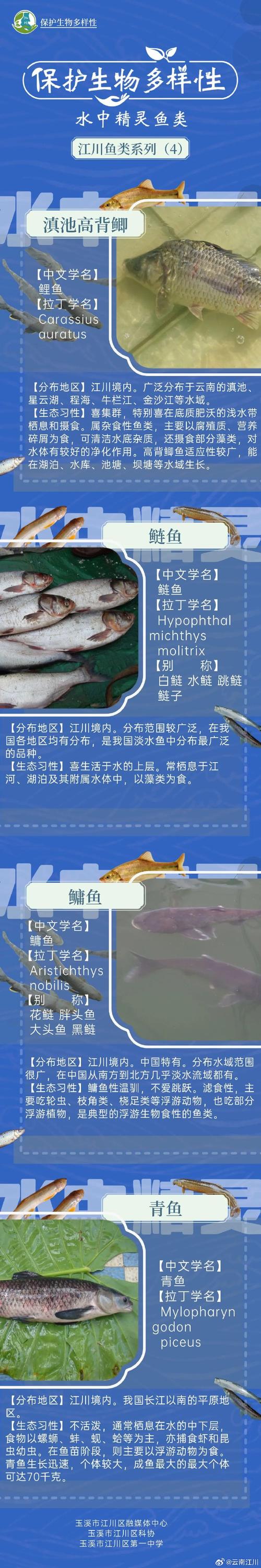 水产品种苗进出口名录有哪些最新调整？-图2