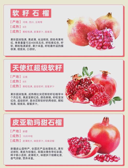 石榴品种哪一种价格高-图1 石榴品种哪一种价格高-图1