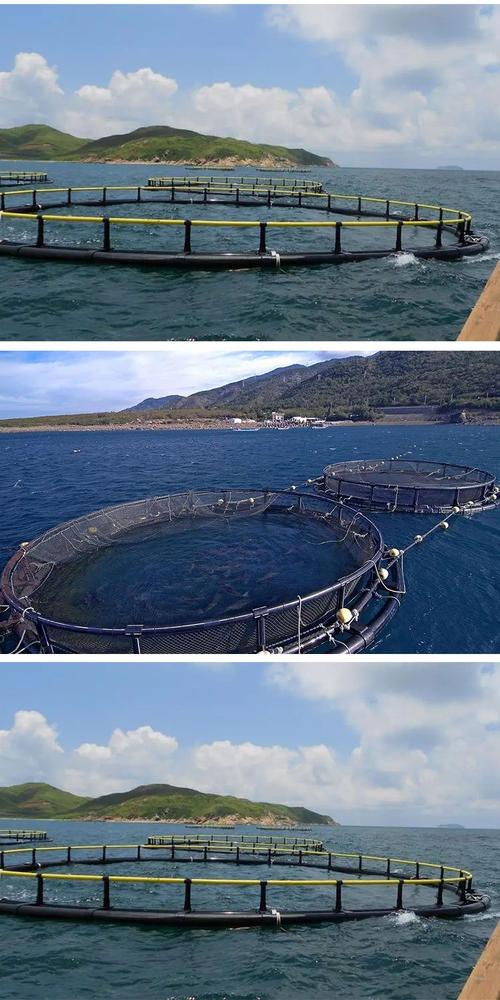 深海网箱养殖技术培训,如何快速掌握核心要点?-图2 深海网箱养殖技术培训,如何快速掌握核心要点?-图2