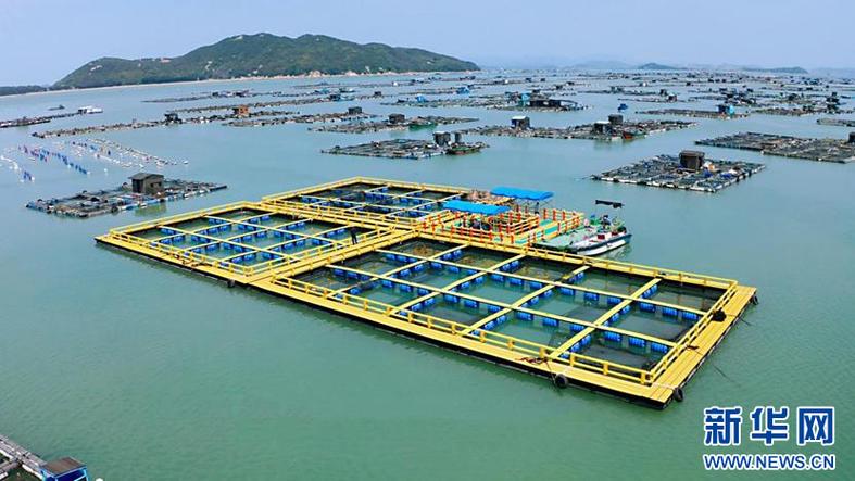 深海网箱养殖技术培训,如何快速掌握核心要点?-图3 深海网箱养殖技术培训,如何快速掌握核心要点?-图3