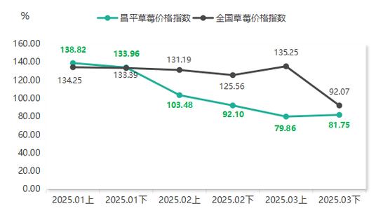 2025年潍坊草莓价格会涨还是跌？-图3