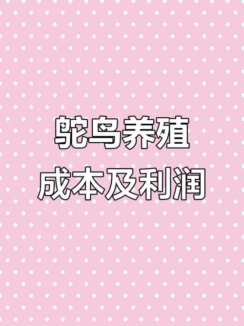 鸵鸟养殖赚钱吗？技术门槛有多高？-图3