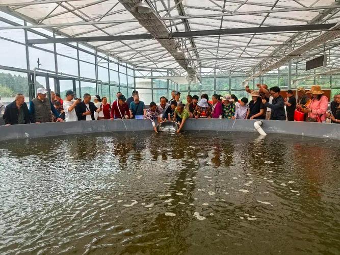 嘉善水产技术推广总站有何成效?-图3 嘉善水产技术推广总站有何成效?-图3