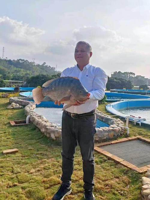 广东茂名今日罗非鱼价格多少钱一斤？-图3