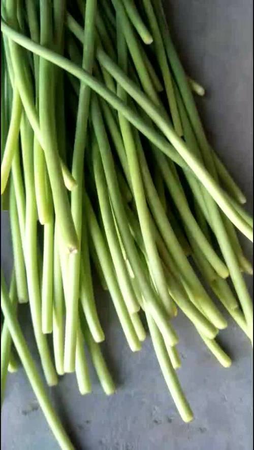 2025粘金乡蒜薹价格-图2 2025粘金乡蒜薹价格-图2