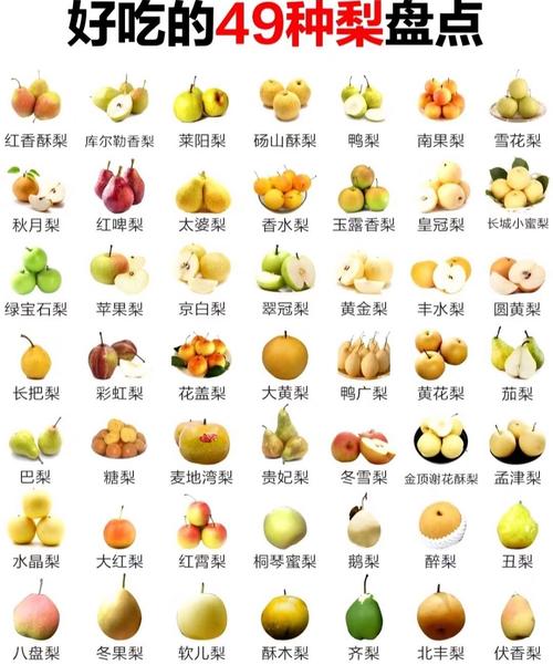 比较上档次的水果品种-图1 比较上档次的水果品种-图1