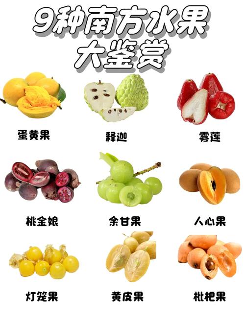 比较上档次的水果品种-图2 比较上档次的水果品种-图2