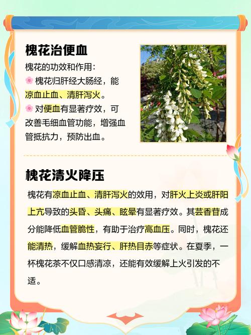 槐花怎么种？关键技术和方法有哪些？-图2