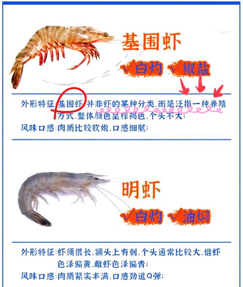 淡水虾繁殖与养殖技术有哪些关键要点?-图3 淡水虾繁殖与养殖技术有哪些关键要点?-图3