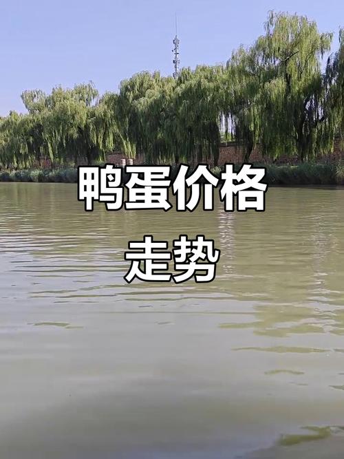 2025年全国鸭蛋价格会涨还是跌？-图3