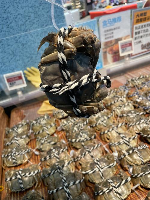 强林超市螃蟹养殖技术有何秘诀?-图3 强林超市螃蟹养殖技术有何秘诀?-图3