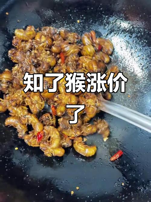 2025年知了价格为何这么贵？-图2