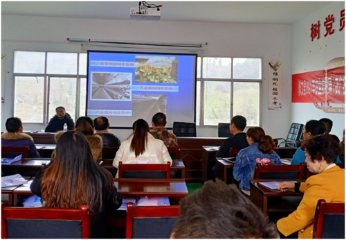 正宗土鸡养鸡技术培训哪里学？-图3