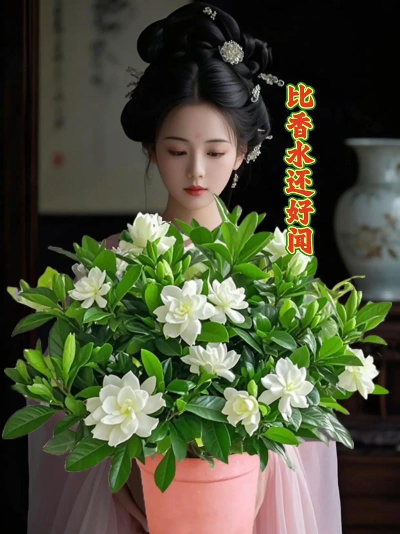 重瓣栀子花是哪个品种?-图3 重瓣栀子花是哪个品种?-图3