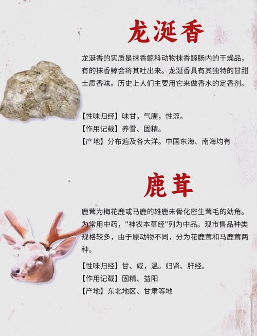 北方哪些多年生中药材品种值得种植?-图2 北方哪些多年生中药材品种值得种植?-图2